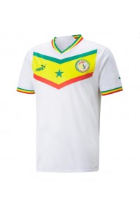 Senegal Jalkapallovaatteet Kotipaita MM-kisat 2022 Lyhythihainen
